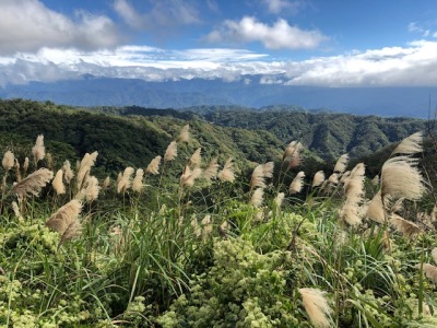 【新竹生態旅行】走訪王爺坑，登飛鳳山遠眺台北101